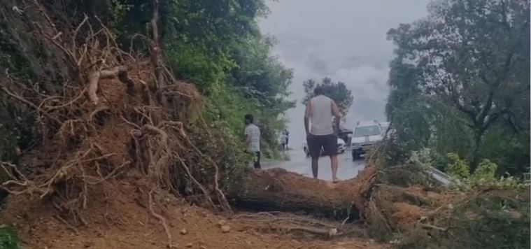 मसूरी में बारिश बनी मुसीबत, केम्पटी मार्ग पर विशाल पेड़ गिरने से हाईवे बंद, दो घंटे बाद खुला