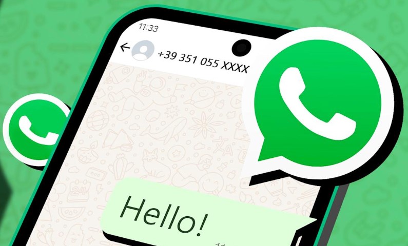 असली दोस्त समझ साइबर ठग को दे डाले लाखों रुपये