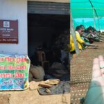 अरकु कॉफी को वैश्विक पहचान दिलाने की पहल तेज, आदिवासी किसानों को मिलेगा सीधा लाभ