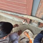 एमडीडीए का अवैध निर्माणों के खिलाफ अभियान जारी, आजाद कॉलोनी में अवैध व्यावसायिक निर्माण सील