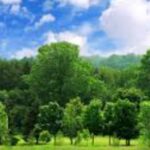 आज मनाया जा रहा अर्थ आवर डे, उत्तराखंड में रात 8:30 से 9:30 तक गैर-ज़रूरी लाइटें बंद रखने की अपील