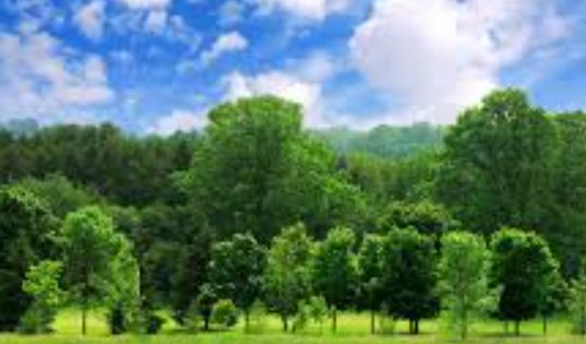 आज मनाया जा रहा अर्थ आवर डे, उत्तराखंड में रात 8:30 से 9:30 तक गैर-ज़रूरी लाइटें बंद रखने की अपील