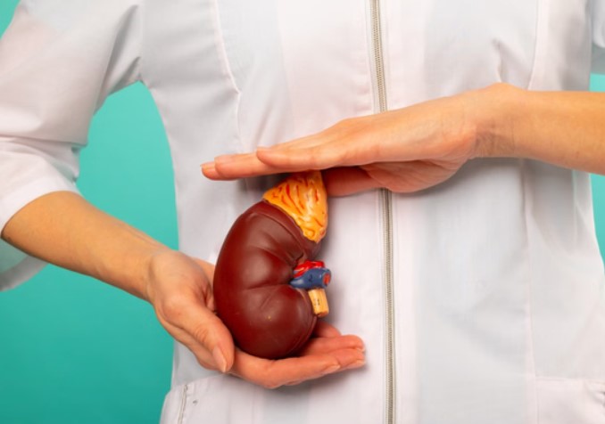 किडनी स्टोन के लक्षण और खतरे जानिए, देर करने से बढ़ सकती है परेशानी