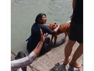 हर की पैड़ी घाट पर कुत्ते को गंगा में नहलाने से विवाद, संगठनों में आक्रोश